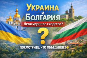 Иногда один график может объяснить то, что ты наблюдаешь годами.

Я постоянно обучаюсь и изучаю разные исследования о странах, культуре и поведении людей. Недавно наткнулась на раб...